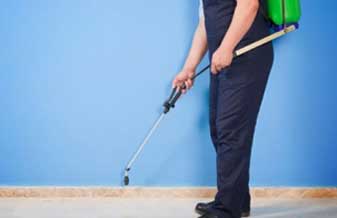 Detinset Service - Foto 1