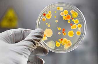 Central De Consultas Medicas Dom Feliciano - Foto 1