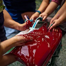transfusão de sangue da neneca