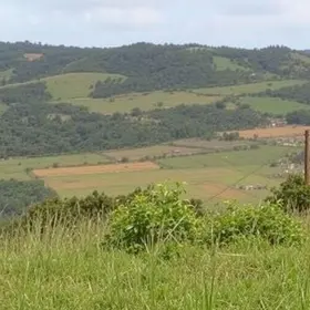 desaparecimento de família no Rio Grande do Sul
