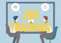 preparação para a busca de um emprego