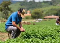 vocação ao agro