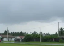 temporais