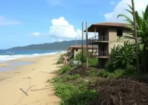 Movimento pela Restinga de Maricá