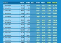 Cachoeirinha eleição governador