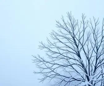 massa de ar frio