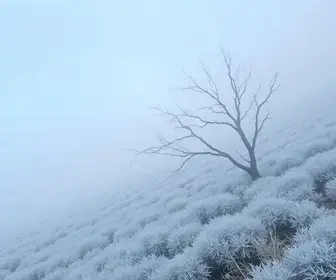 frio fora de época